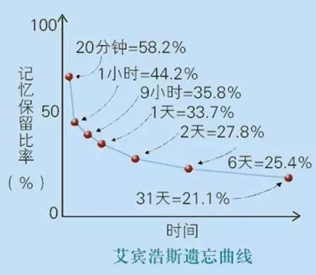 初级外教一对一培训课程安排_大思英语少儿英语课程_大思英语游戏化闯关学习法