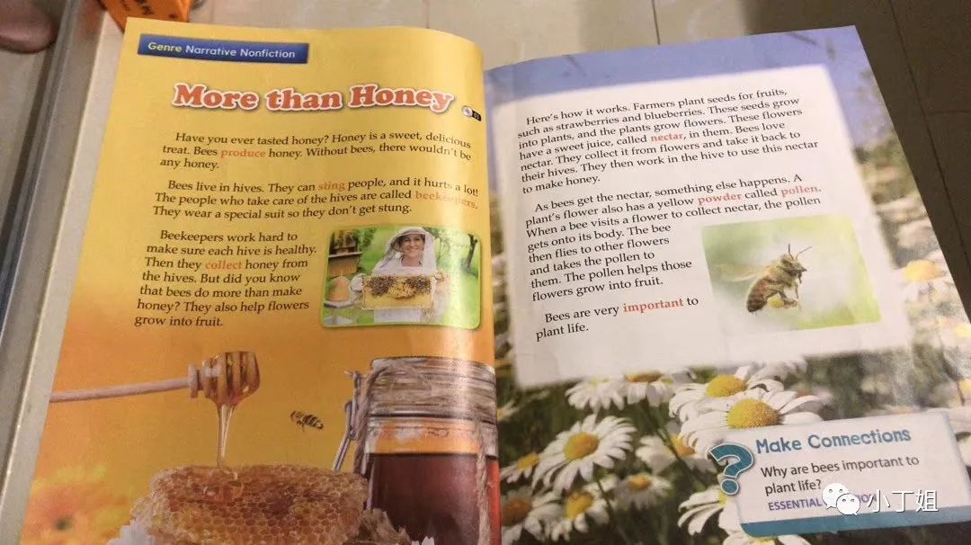 线上英语班选择 哒哒贝达VIP鲸鱼比较 叮咚斑马叽里呱啦菲教AI录播课_有谁上过鲸鱼外教一对一的课程