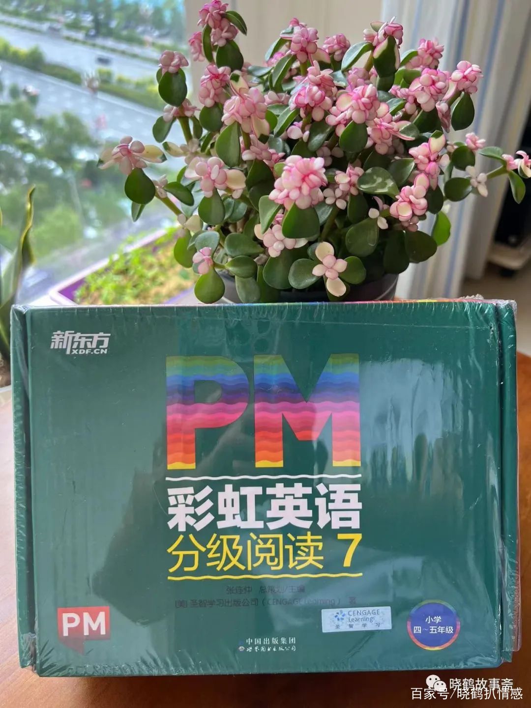 365天英语日常口语对话动画视频_英语日常对话口语_英语日常口语对话