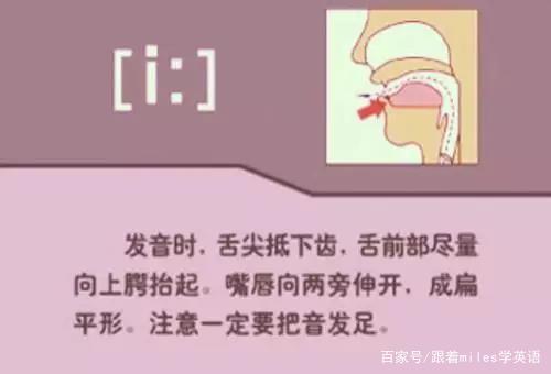 长短元音音标课怎么讲_初中英语语音课音标_英语音标课