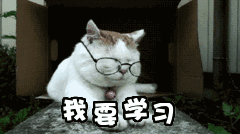 学习英语单词_意大利语单词学习_高中单词学习
