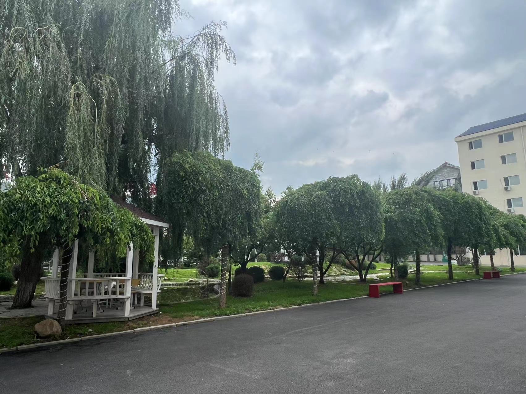 医生考研厦门培训英语机构哪家好_沈阳考研英语培训_英语考研培训