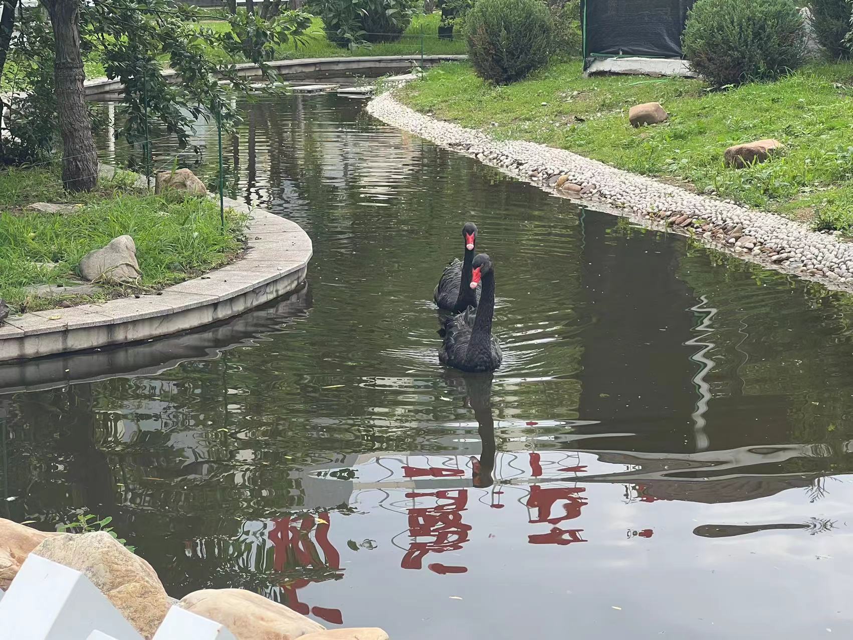 沈阳考研英语培训_医生考研厦门培训英语机构哪家好_英语考研培训