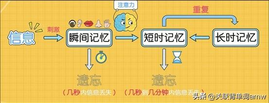 好用的背四级单词软件_考研英语背单词软件哪个好_背雅思单词好用的软件