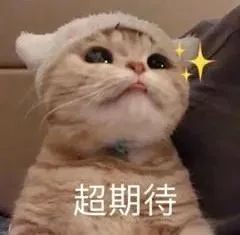 雅思口语评分标准_雅思口语5.5分标准_三一口语 雅思口语
