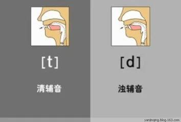 巧虎学汉字dvd_巧虎学汉字巧虎小_巧虎学英语