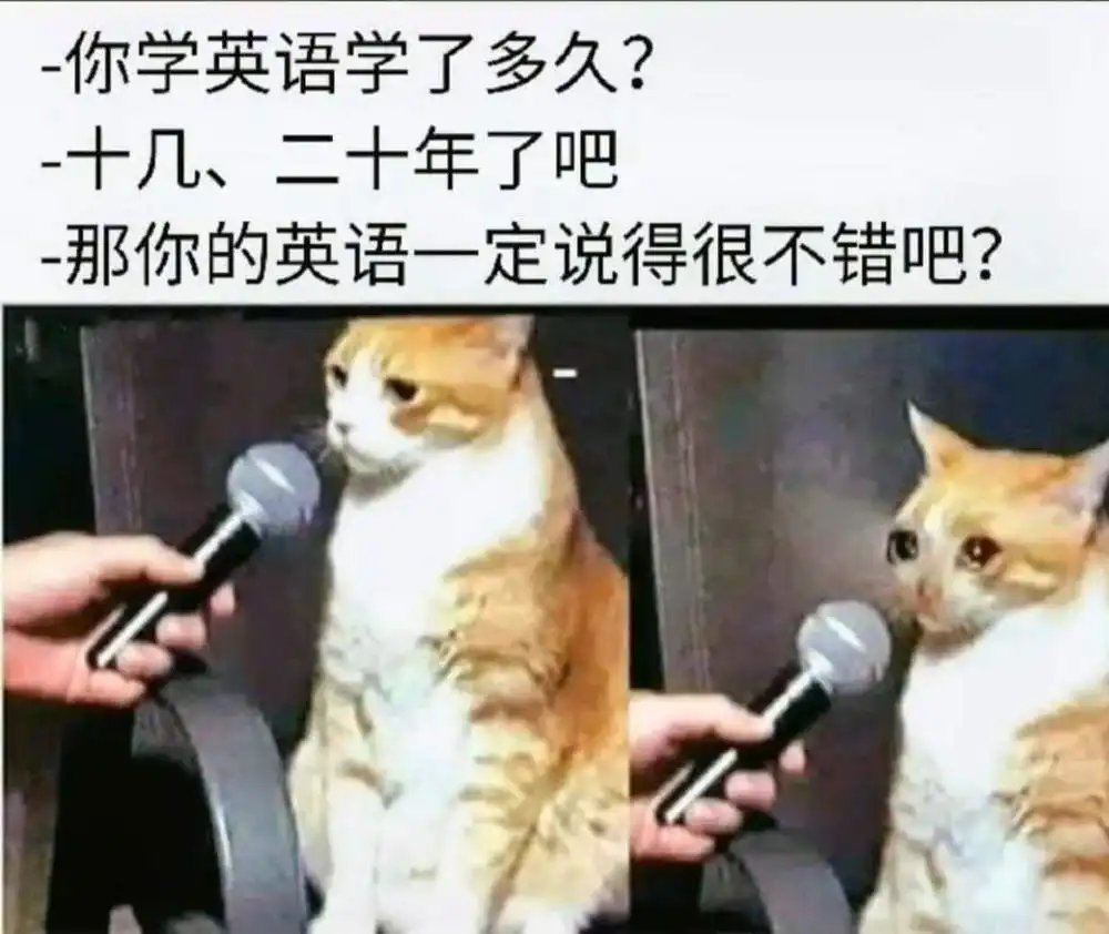 想出国应该学什么英语_0基础想出国的人怎么学英语_英语零基础想出国