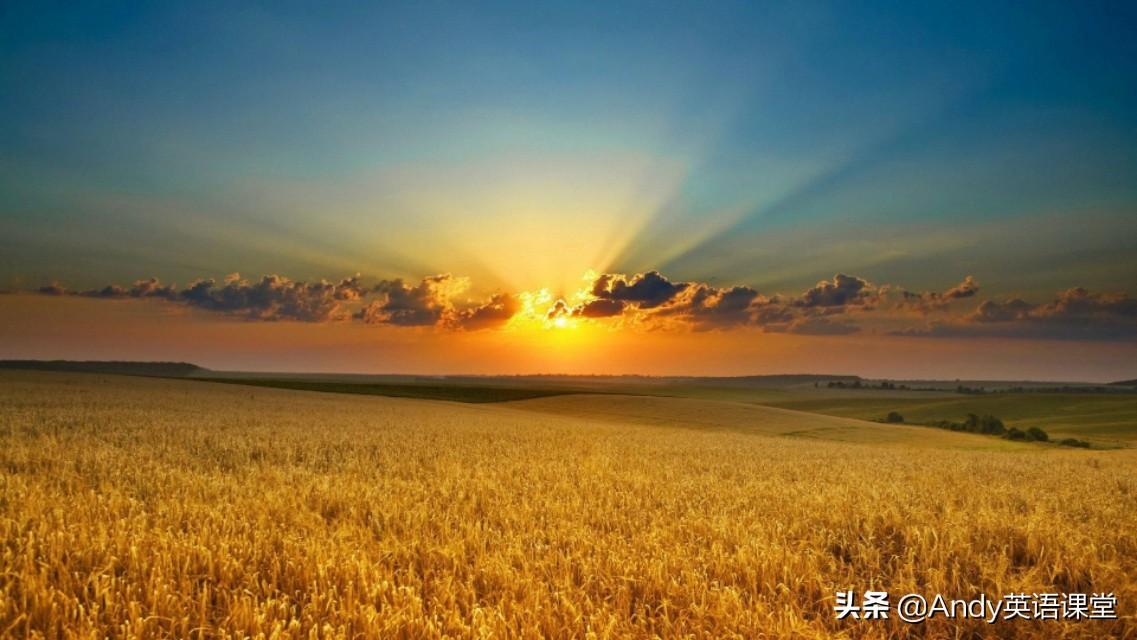 成人0基础自学英语方法_成人英语0基础怎么自学英语_零基础成人自学英语