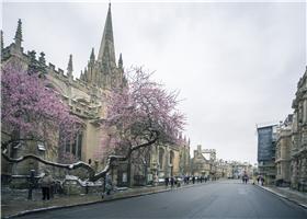 四级英语培训_英语打造英语线上培训平台_英语专八培训美联英语
