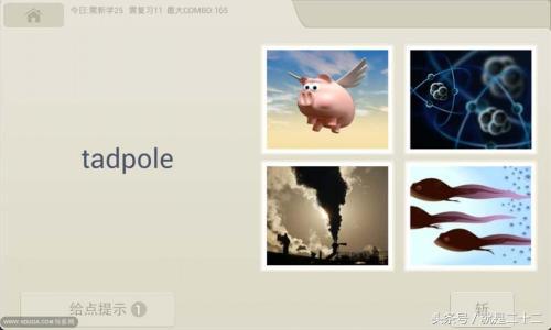 英语零基础自学app软件免费学视频_学英语的免费软件_能免费学初中一年级的英语软件