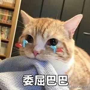 雅思英语报名费多少钱_英语零基础学雅思零基础英语雅思_雅思英语培训课程报名