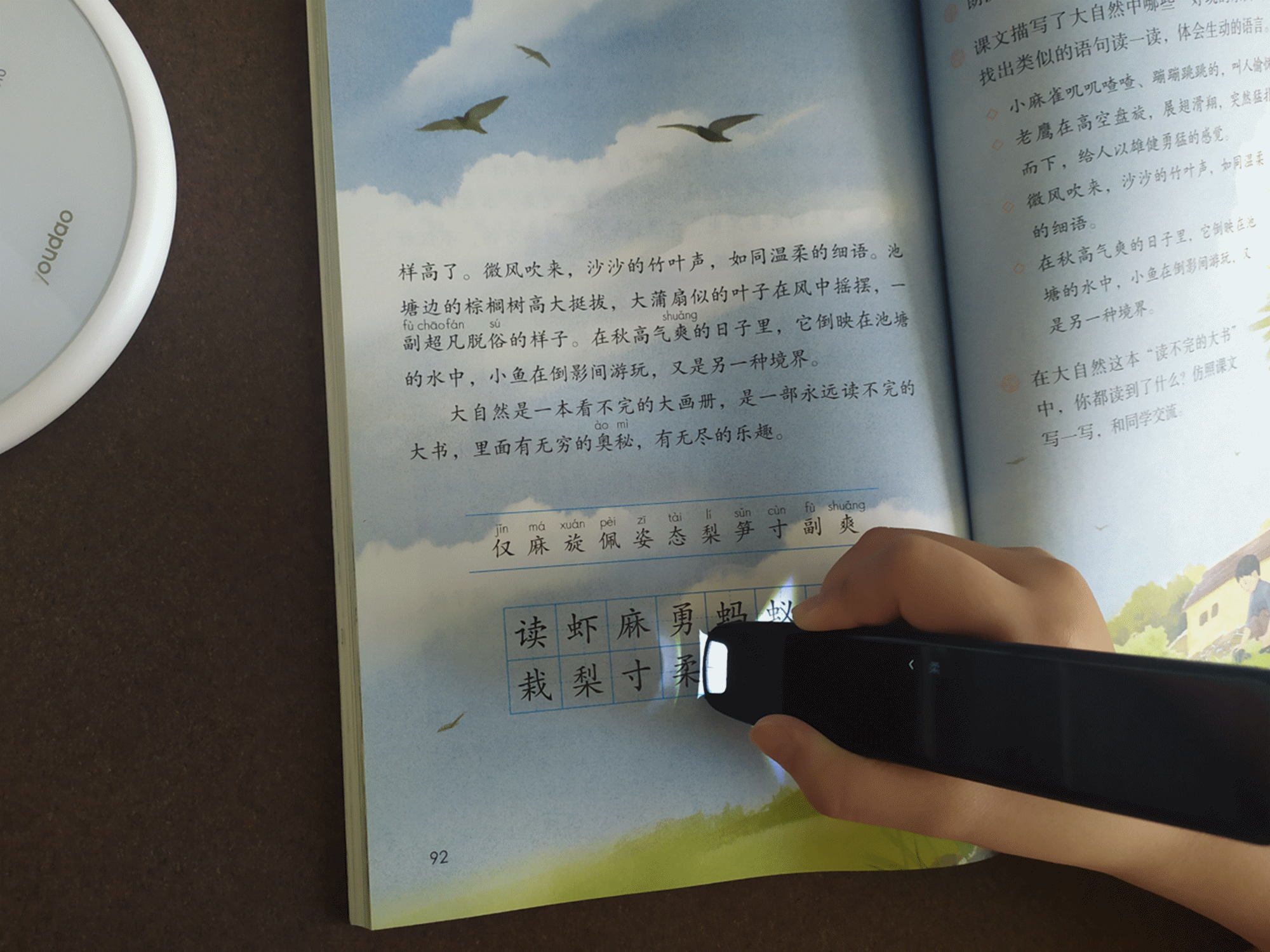 免费学习英语 免费学习英语_学习英语先学习什么_有道英语学习