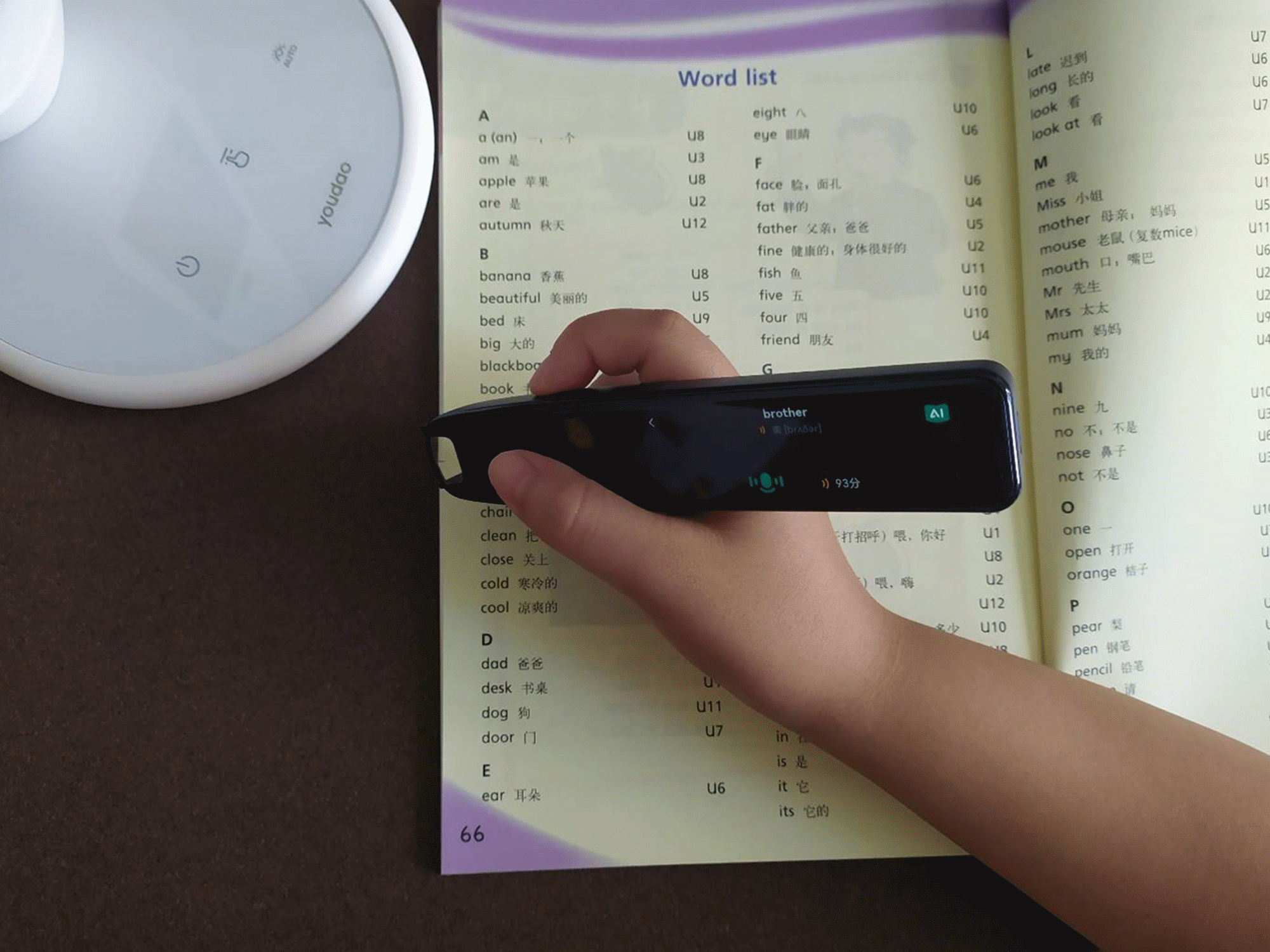 免费学习英语 免费学习英语_学习英语先学习什么_有道英语学习
