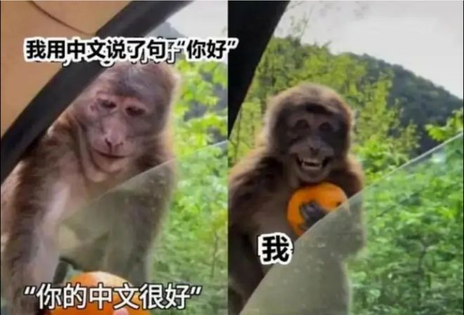 学英语表情包_学医学表情包_陈学冬表情包