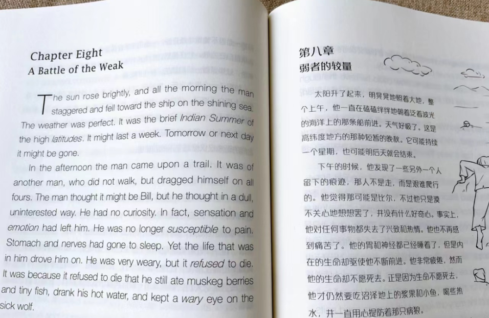 看听学3l英语_学雅思看网课有用吗_看英文电影对学英语有帮助吗
