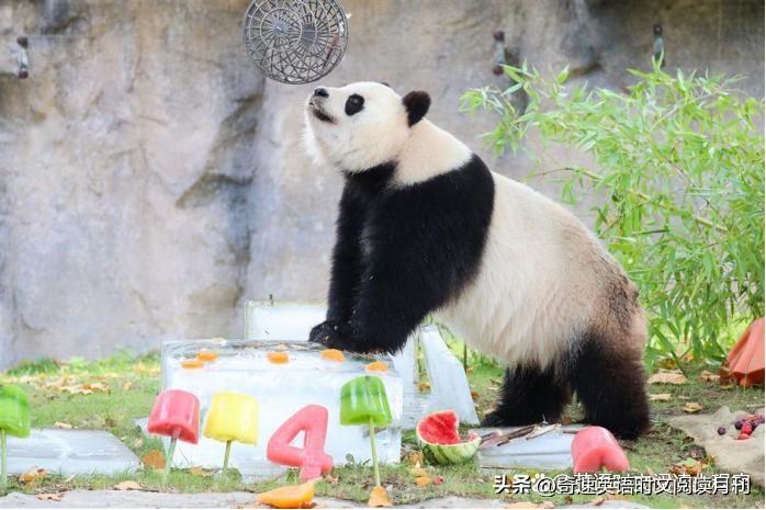 怎么练英语_全品学练考答案八下英语_全品学练考答案七下英语