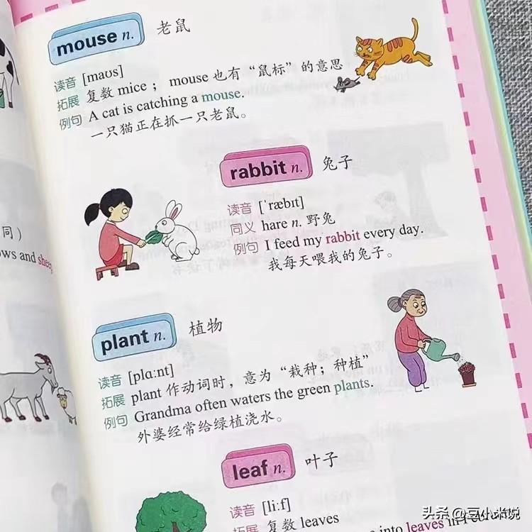 自学英语教程_自学英语视频教程_英语自学教程视频教程下载