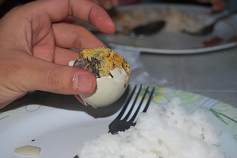 菲律宾的英语_菲律宾人说英语知乎_菲律宾的外教英语好吗