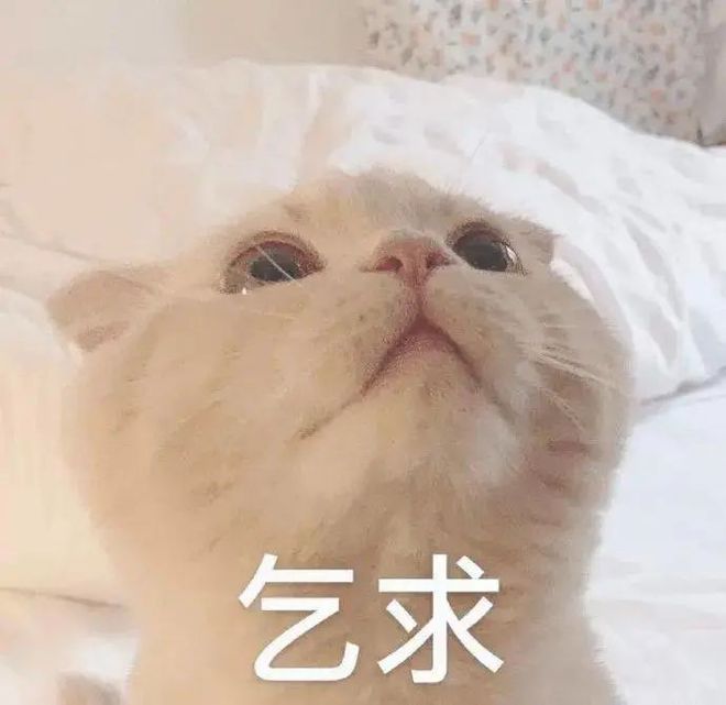 商务英语专业报考什么公务员_商务英语报考条件_报考英语6级的条件