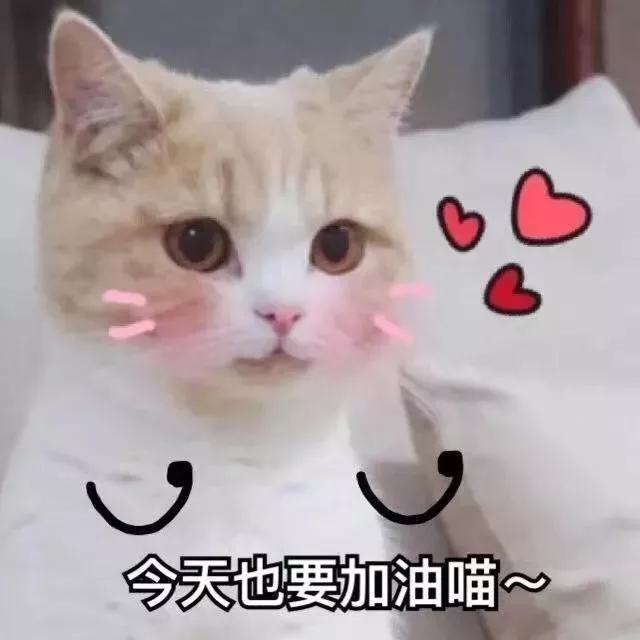 雅思口语雅思英语口语培训班_雅思雅思口语1对1_雅思口语一对一有用吗