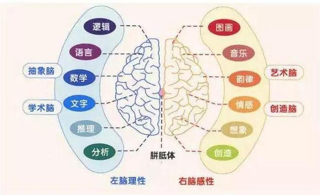英语自然拼读教学_新疆英语自然拼读培训班_英语自然拼读入门