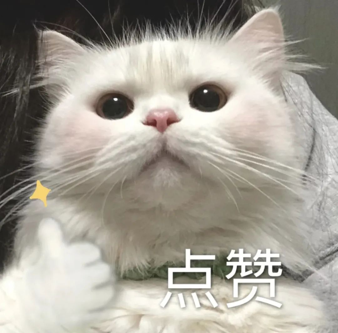 英语地道口语表达开心_地道英语常用口语_地道的英语口语祝福