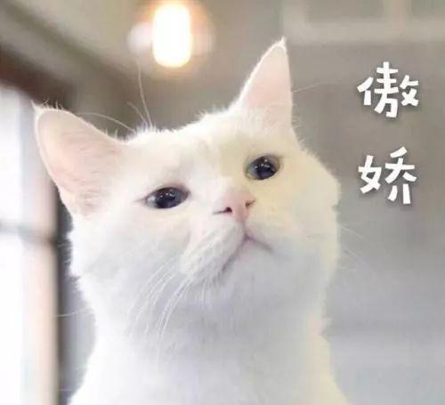 英语零基础 如何开始学习英语_宝宝几个月开始用学饮杯_英语从零开始学怎么学