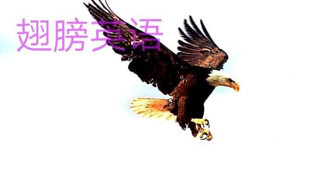 英语零基础如何练听力_学听力英语口语零基础辅导_零基础学英语听力