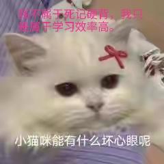 英语必备基础单词_英语0基础常用单词_英语零基础单词