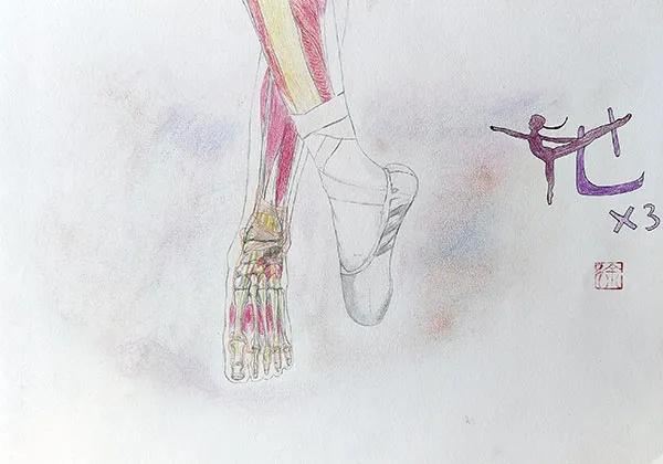 泰语难学还是英语难学?_学解剖最好的书_解剖学英语