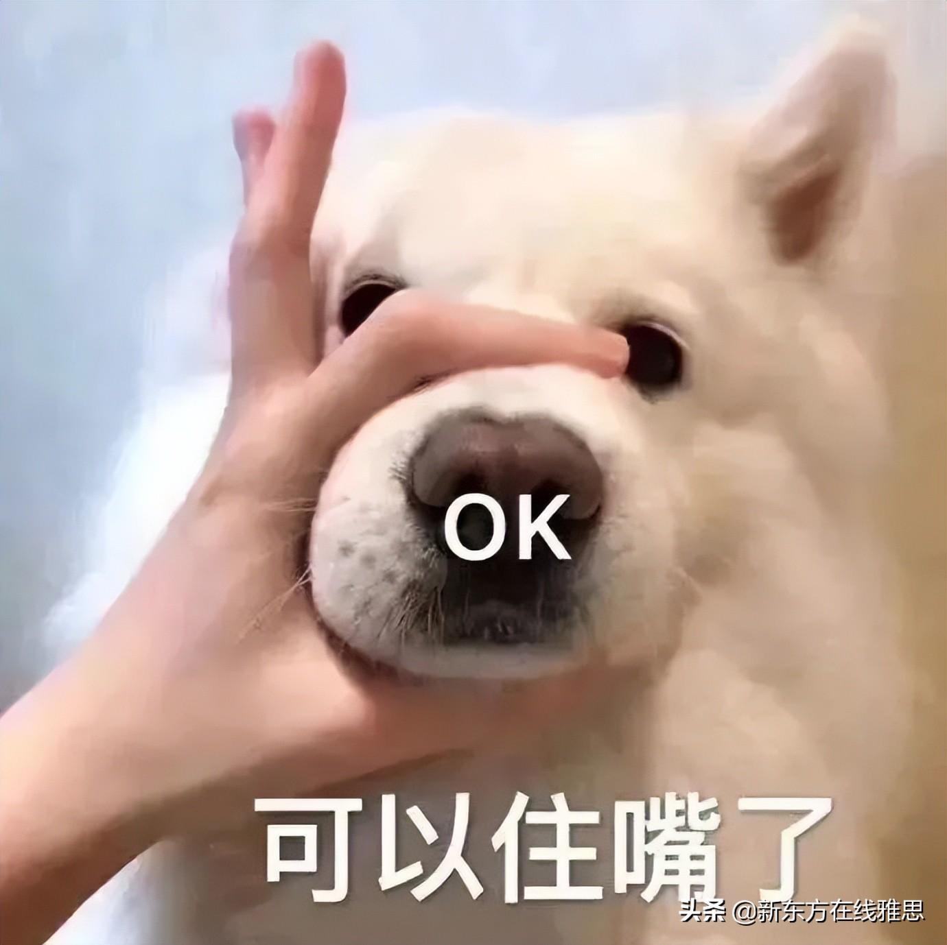 如何学好口语英语知乎_口语 听力 新东方 知乎_英语口语知乎