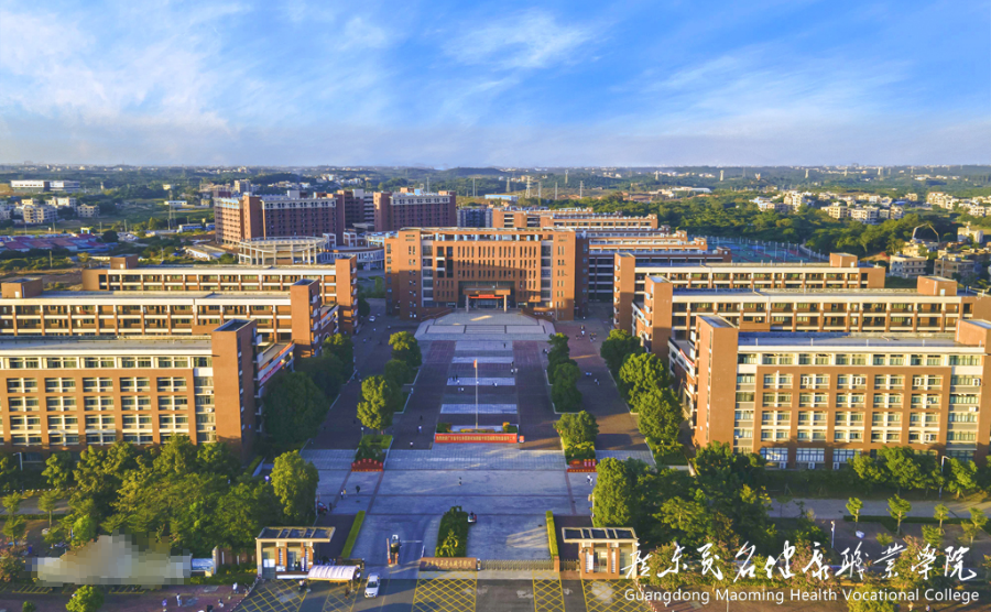湛江英语培训机构_湛江高技学校_湛江高职学校有哪些