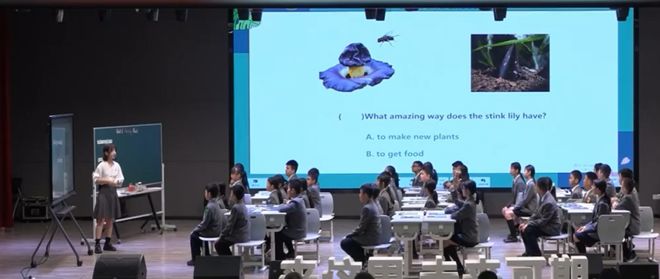 线上英语推荐_英语线会降吗_英语线和数学线