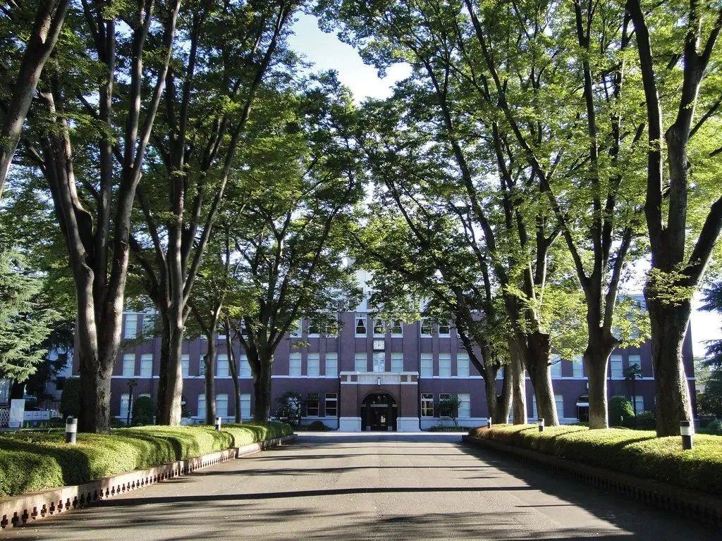 日本人英语教育_日本人教英语_日本人学英语吗