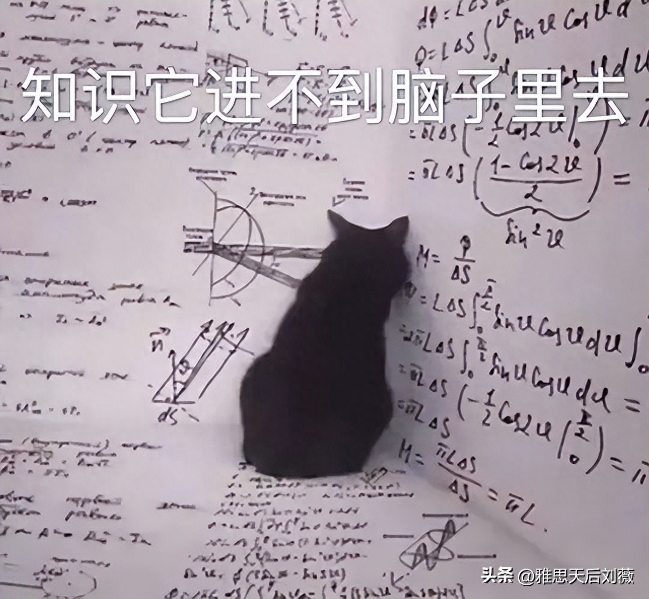 英语雅思考试怎么考_雅思考试的英语_雅思英语考什么