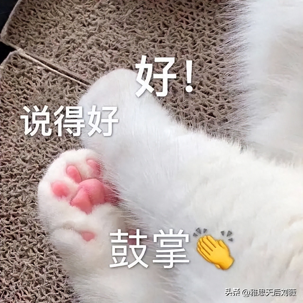 雅思考试的英语_雅思英语考什么_英语雅思考试怎么考