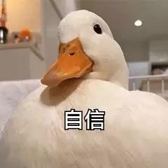 雅思六级英语水平考试时间_雅思六级英语水平要求_英语六级相当于雅思什么水平