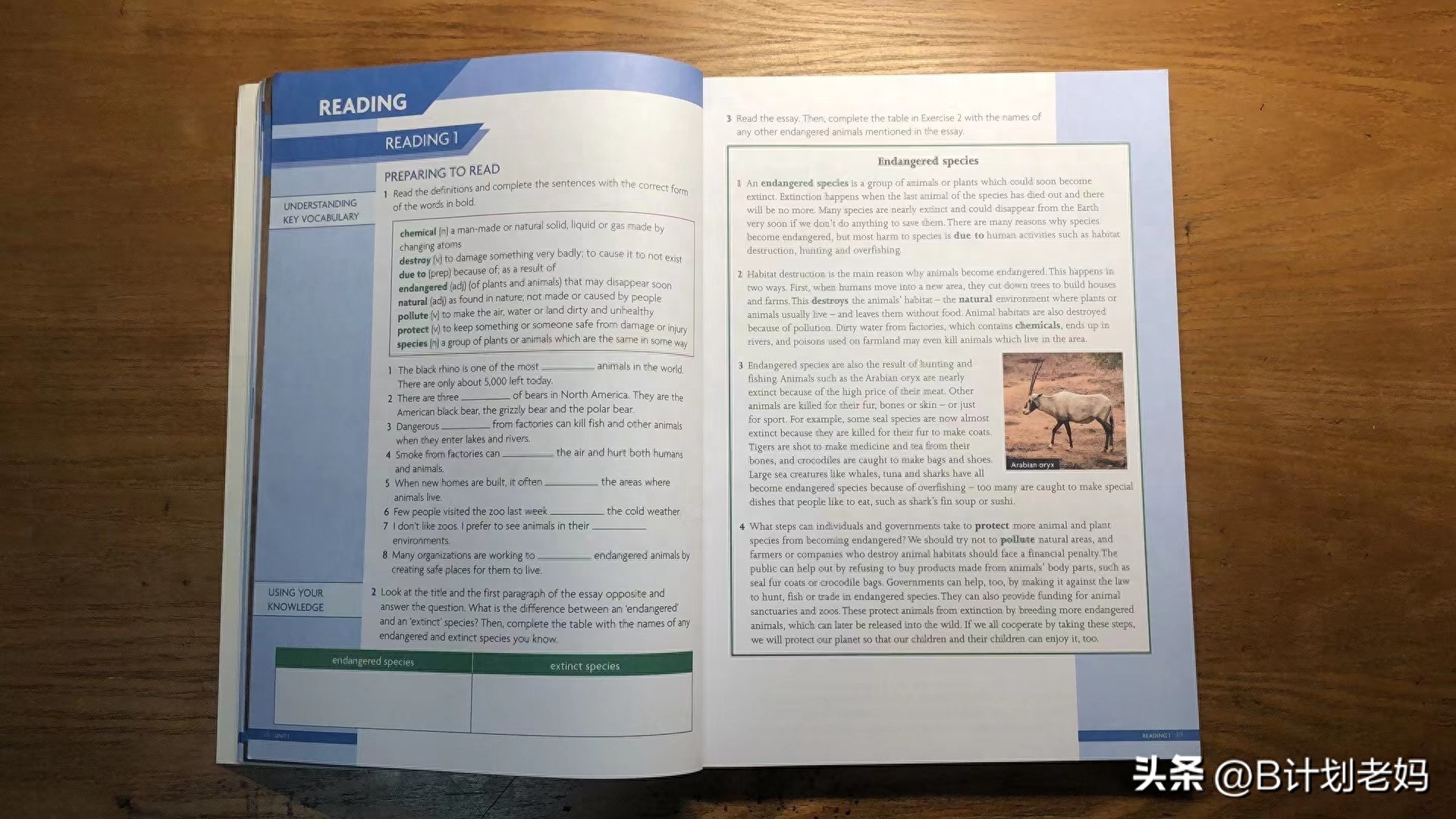 英语提升班_英语如何提升_英语提升计划