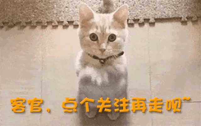 自学英语有多难_自学英语用有哪些软件_自学英语有用吗