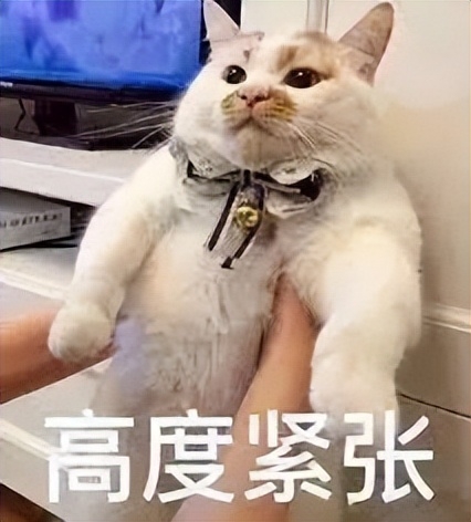 大学基础英语_大学基础英语_大学基础英语