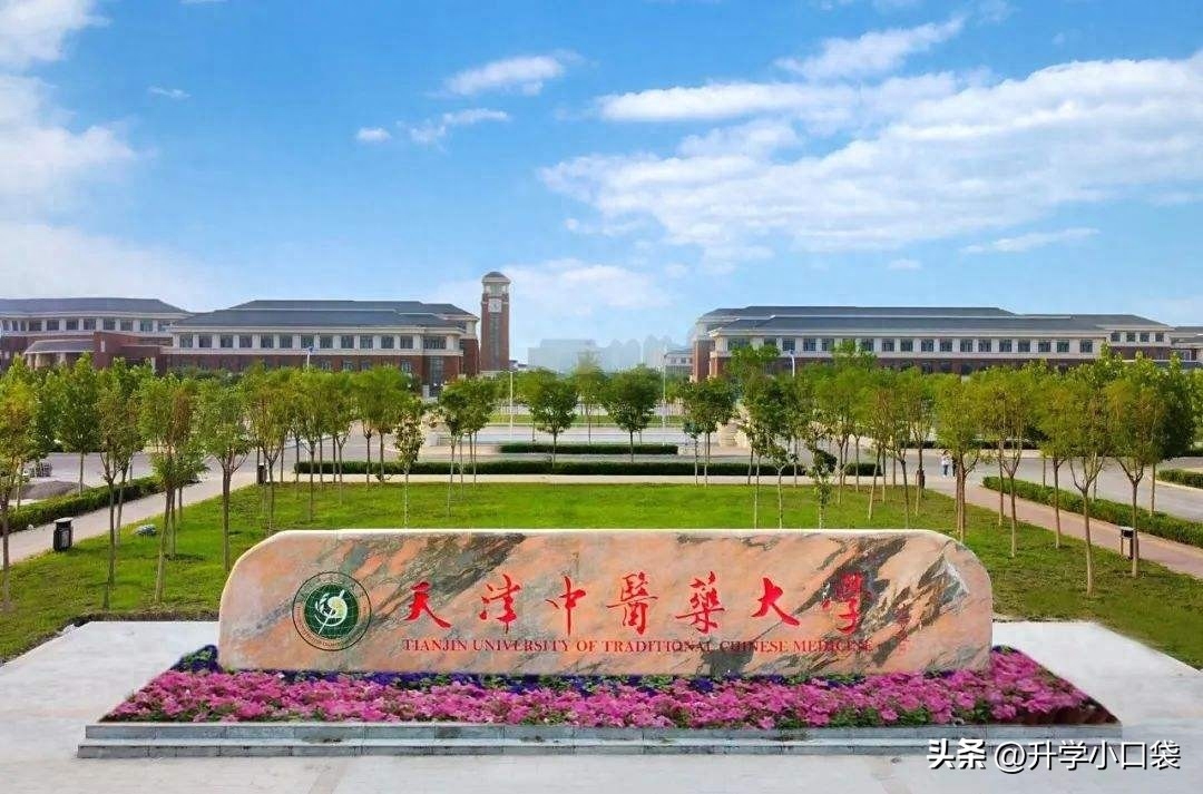 在大学英语_英语大学排名全国_英语大学怎么说