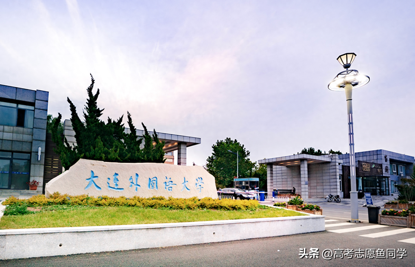 体育学院英语_英语学院_外国语学院英语
