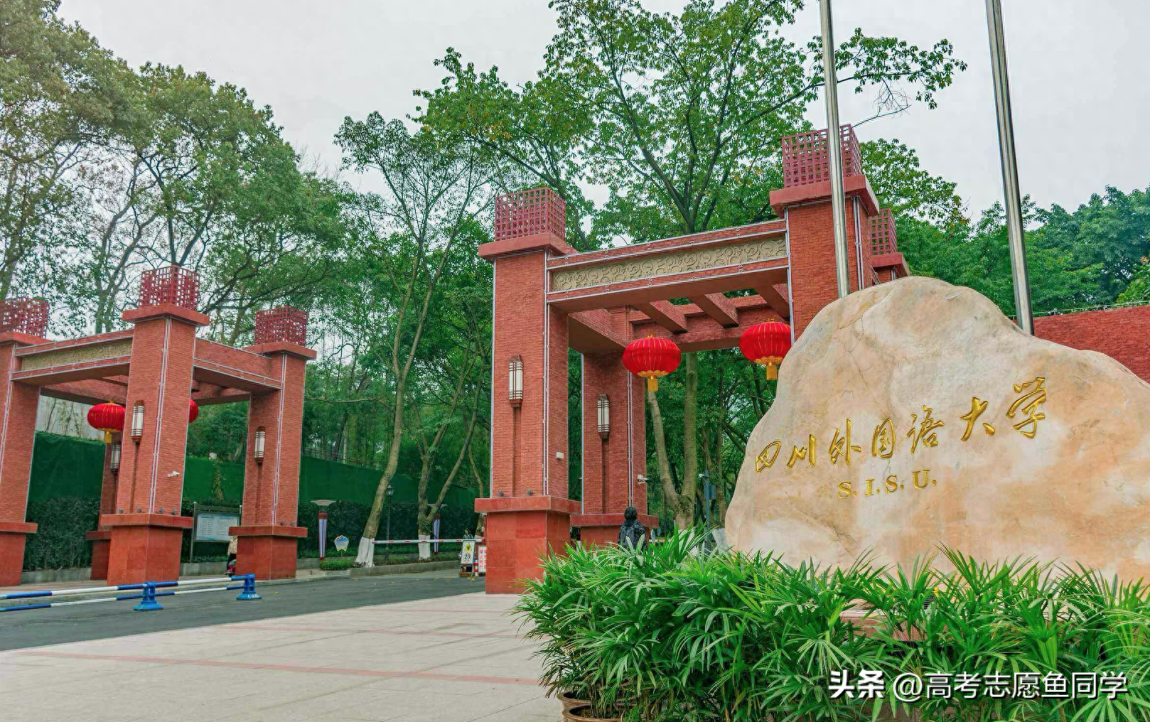 体育学院英语_英语学院_外国语学院英语