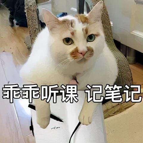 零基础英语四级_英语基础教学从零开始_英语基础太差怎么补救