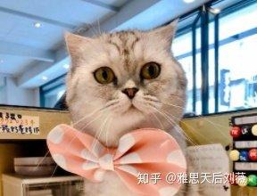 口语评分标准雅思_雅思口语评分标准_雅思口语如何评分