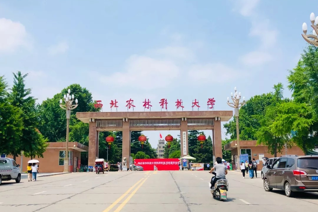国语海外英语大学上几年毕业_上海外国语大学英语_海外国语学院