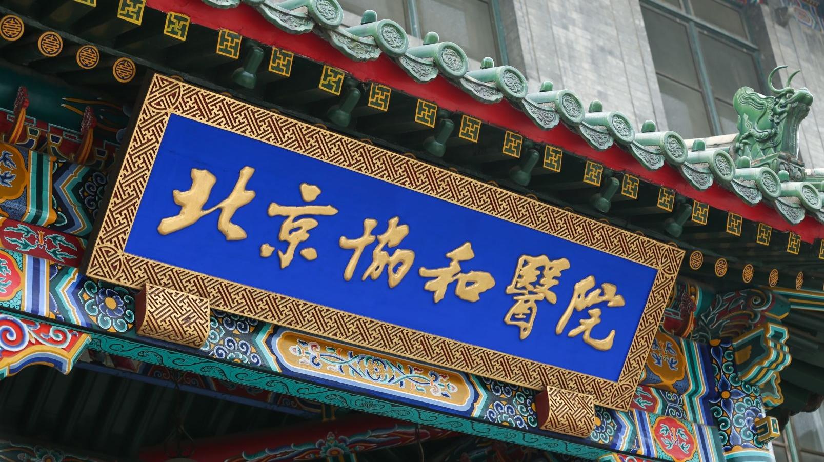 上海外国语大学英语_海外国语学院_国语海外英语大学上几年毕业