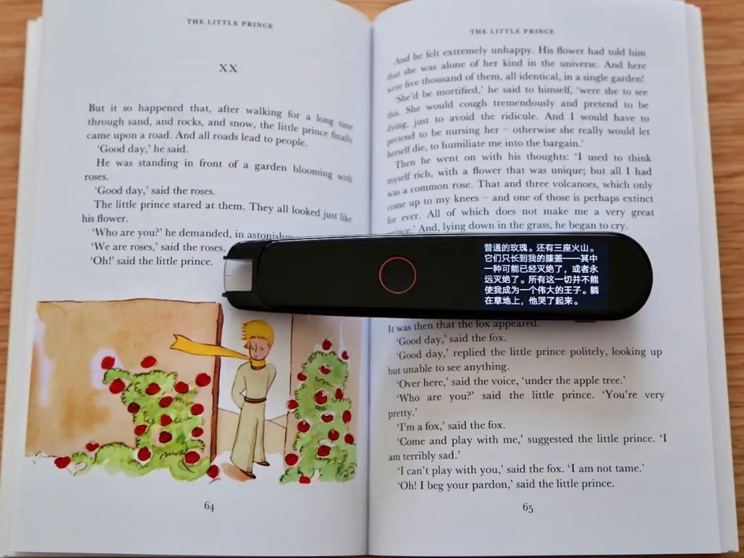 小白英语翻译_小白英语单词_英语小白app