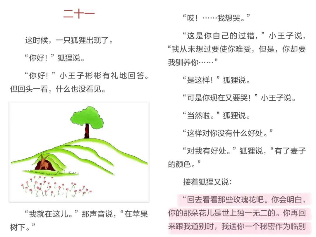 英语小白app_小白英语单词_小白英语翻译