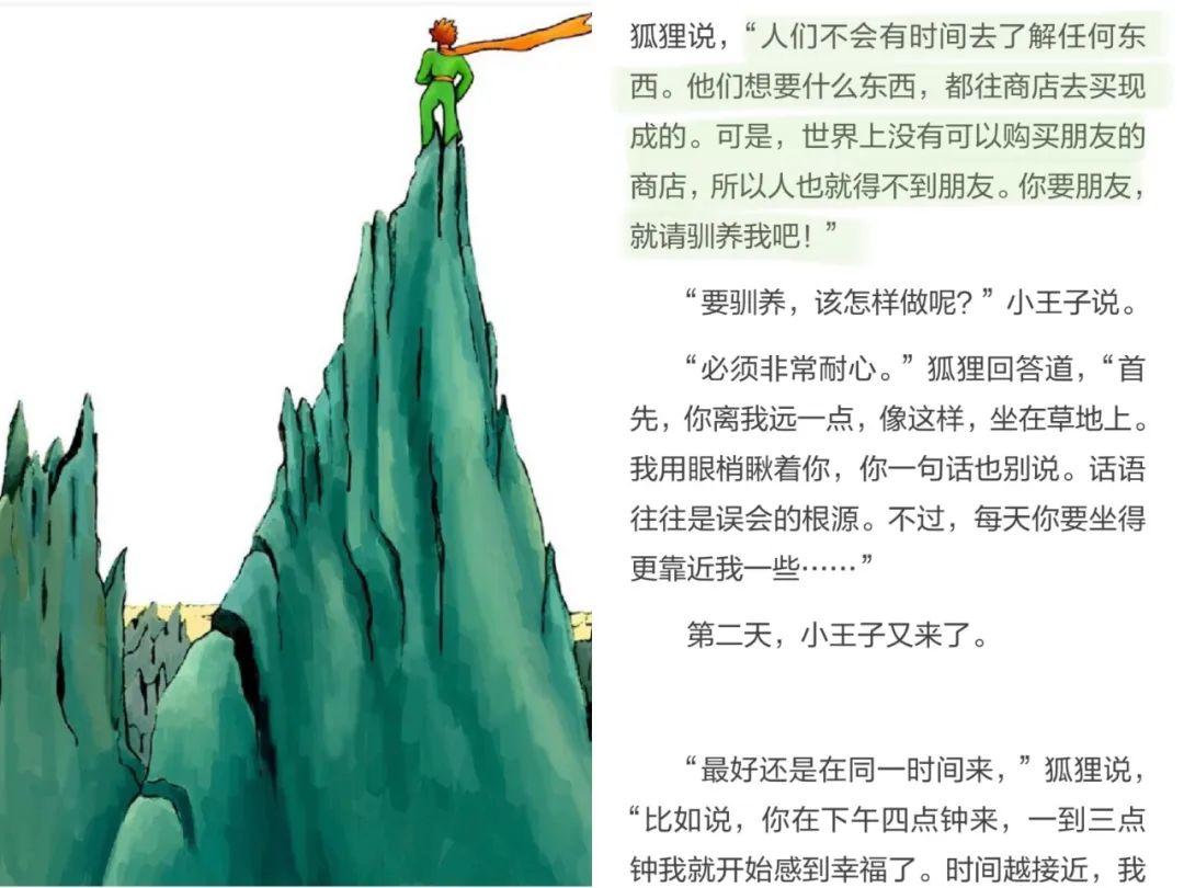 小白英语翻译_英语小白app_小白英语单词